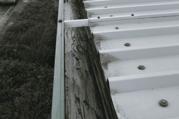 Commercial gutter cleaning specialists in Sunninghill
